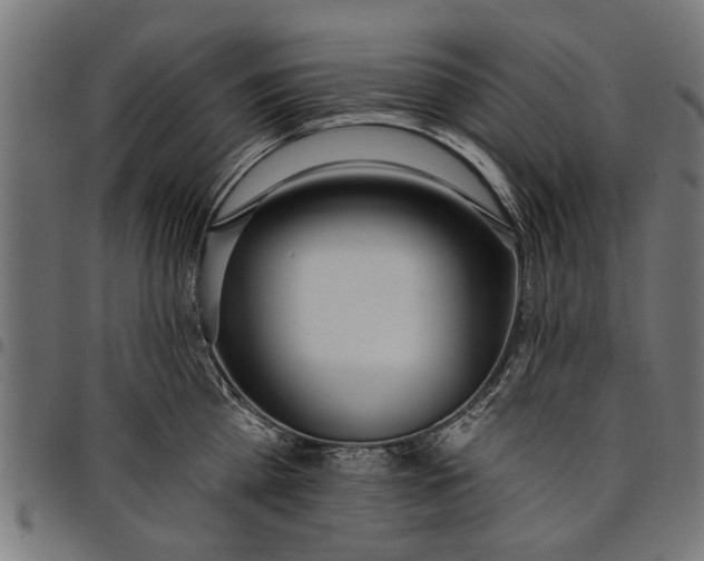 X0000097810809200803281057