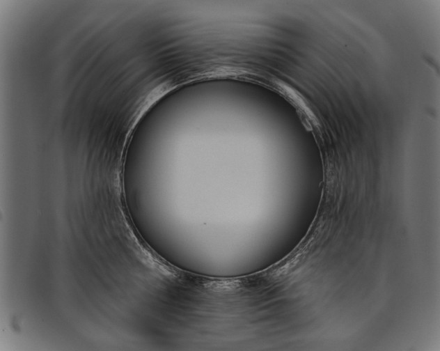 X0000097810810200803281057