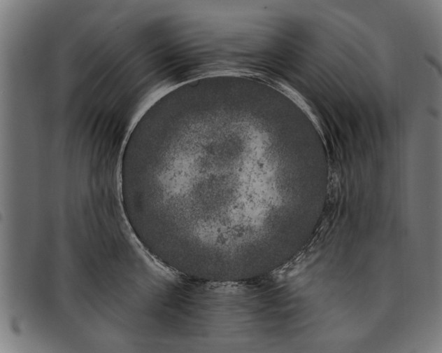 X0000097810811200803281057