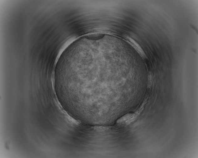 X0000097810812200803281057