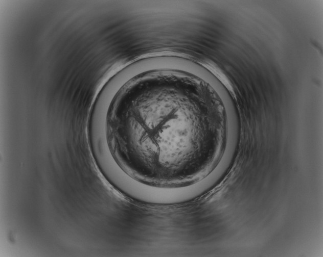 X0000097810813200803281057