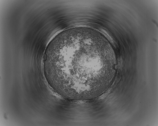 X0000097810814200803281057