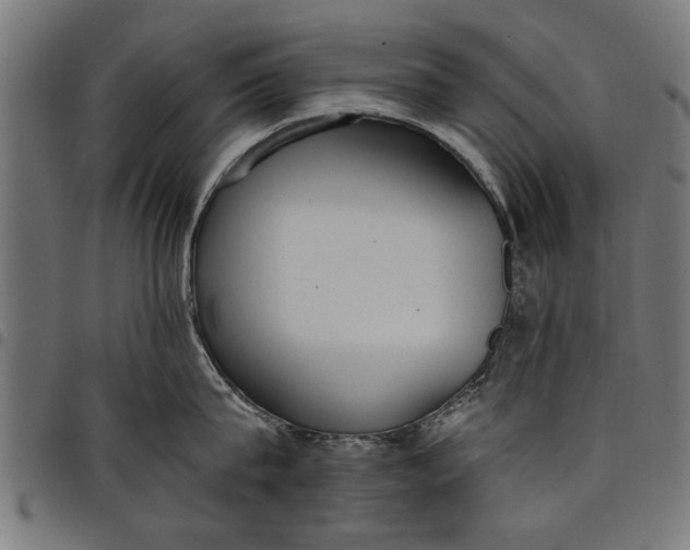 X0000097810815200803281057