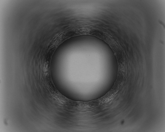 X0000097810818200803281056