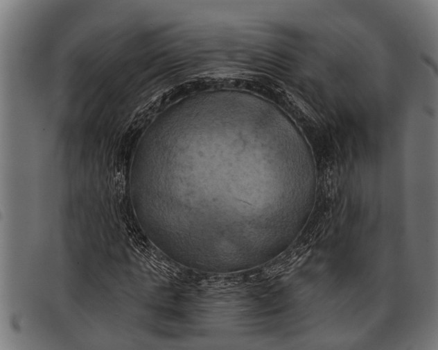 X0000097810821200803281056