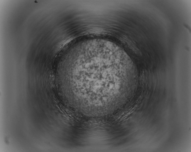 X0000097810822200803281056