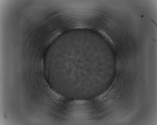 X0000097810825200803281056