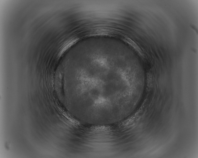 X0000097810826200803281056