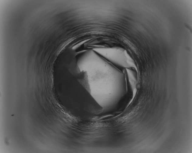 X0000097810829200803281056