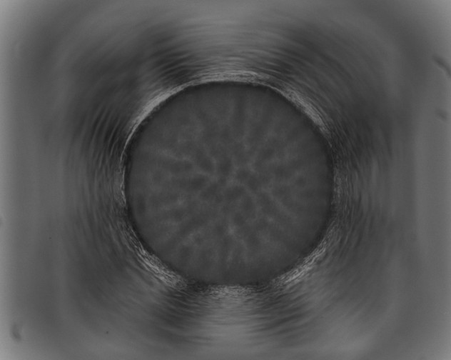 X0000097810830200803281056