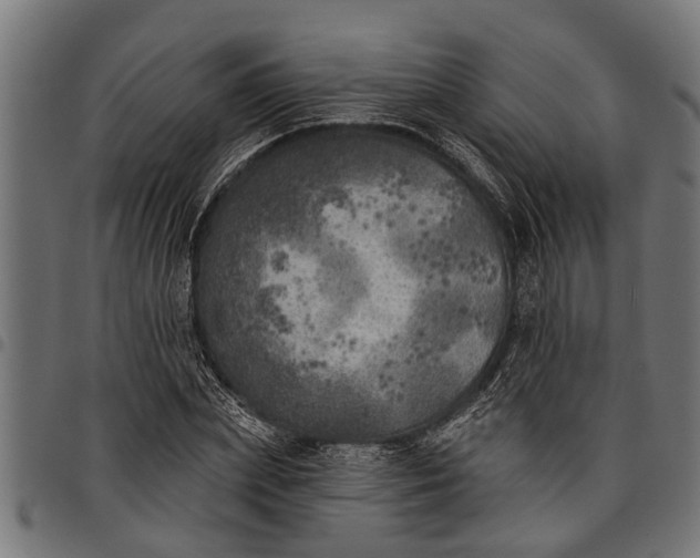 X0000097810831200803281056