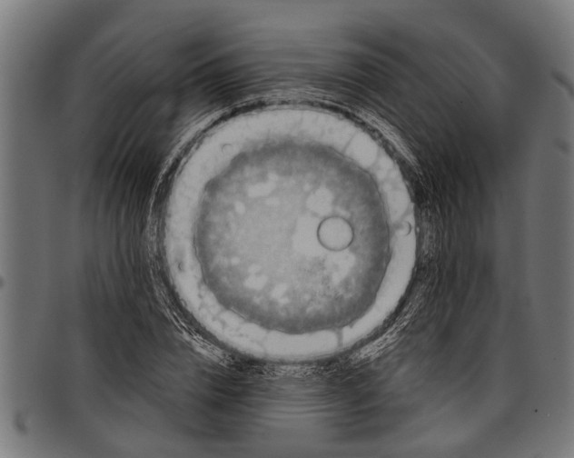 X0000097810832200803281056