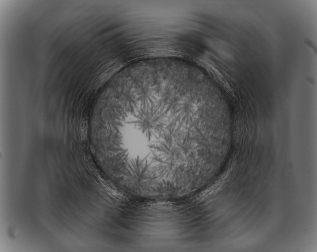 X0000097810833200803281056