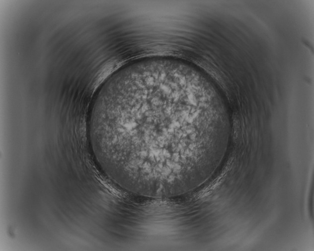 X0000097810834200803281056