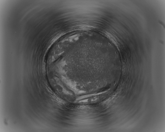 X0000097810835200803281056