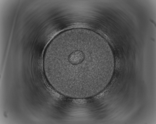 X0000097810836200803281056