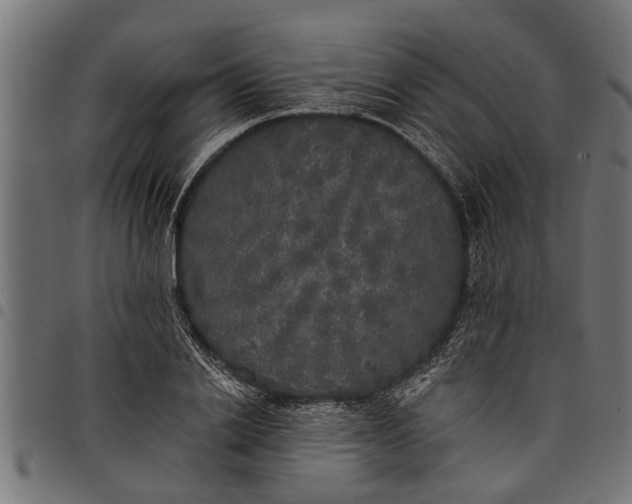 X0000097810838200803281056