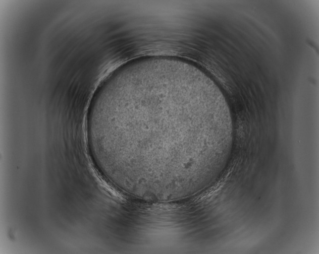 X0000097810840200803281056