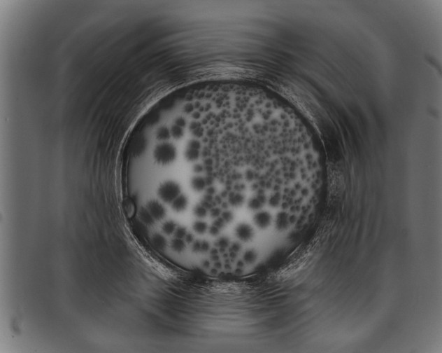 X0000097810843200803281056