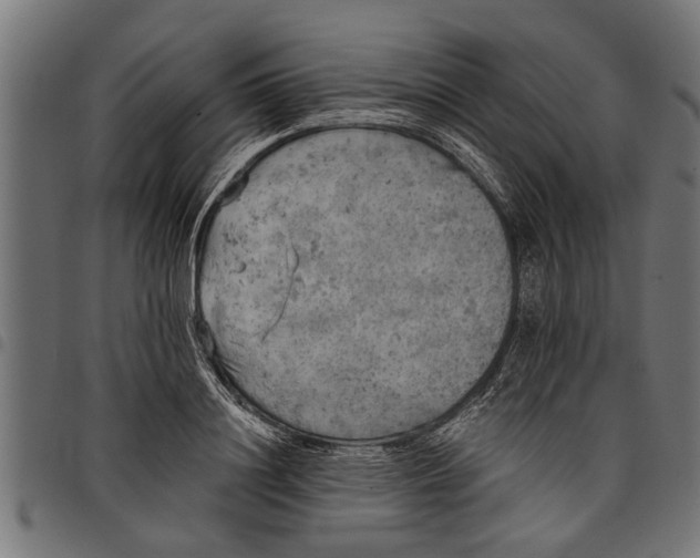 X0000097810844200803281056