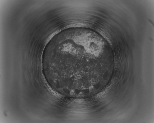 X0000097810845200803281056