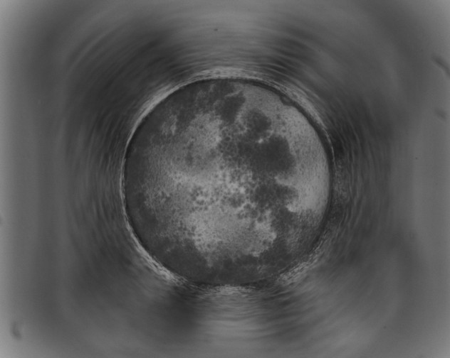 X0000097810847200803281056