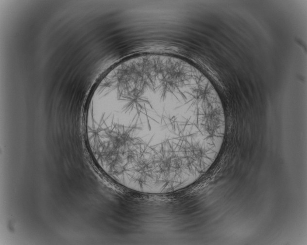 X0000097810848200803281056