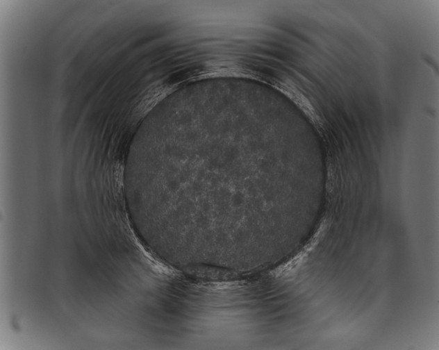 X0000097810849200803281056