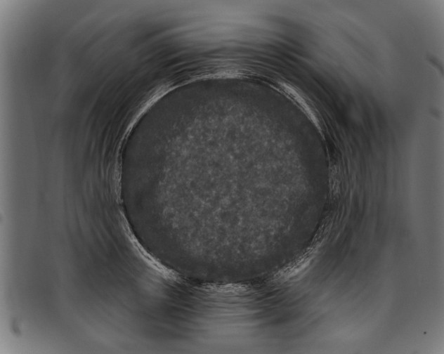 X0000097810851200803281056