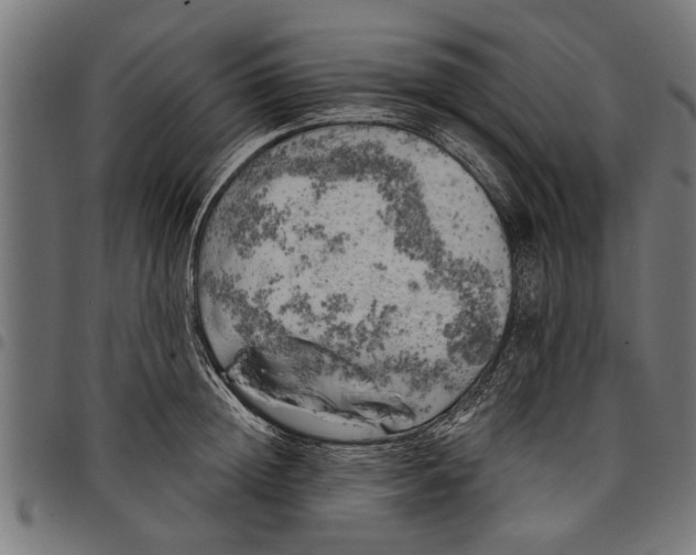 X0000097810852200803281056