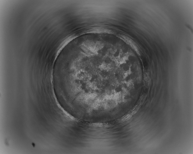 X0000097810855200803281057