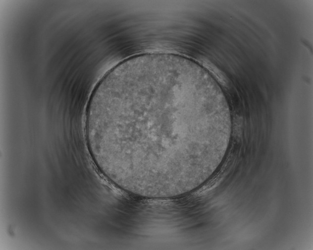 X0000097810856200803281057