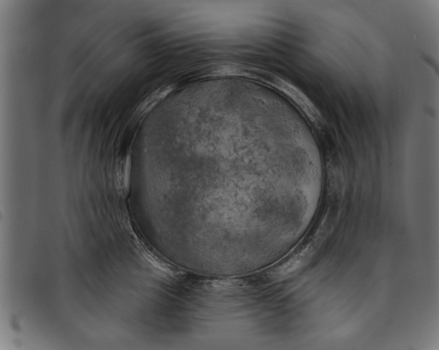 X0000097810857200803281057