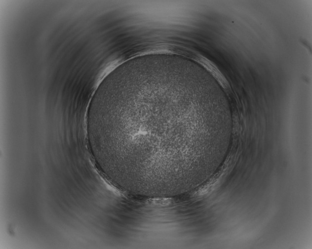 X0000097810858200803281057