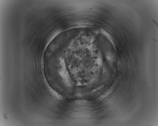 X0000097810859200803281057