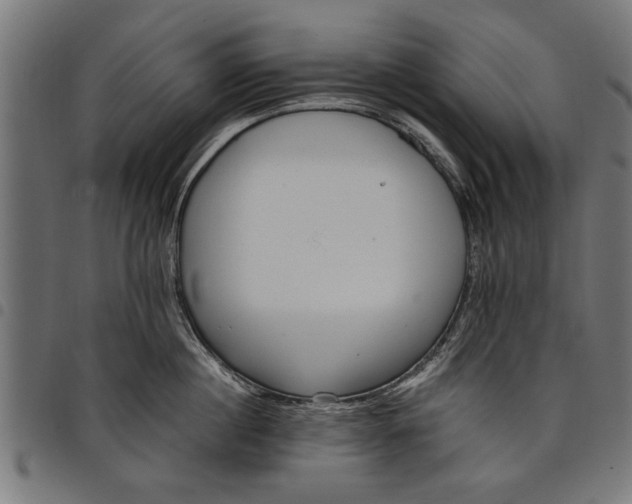 X0000097810860200803281057