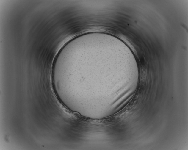 X0000097810861200803281057