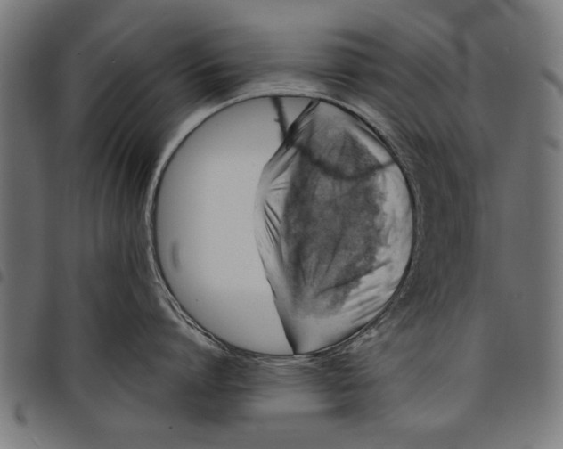 X0000097810864200803281057