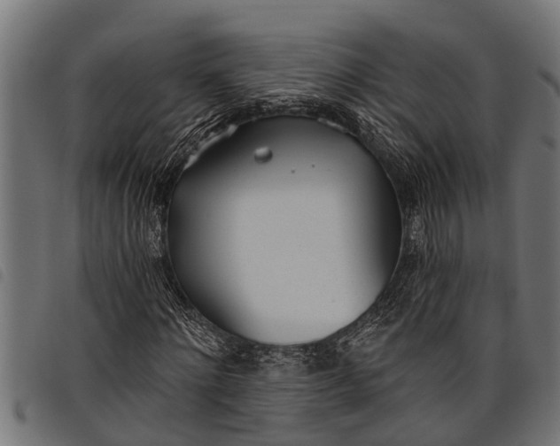 X0000097810868200803281056