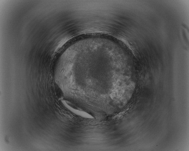 X0000097810871200803281056