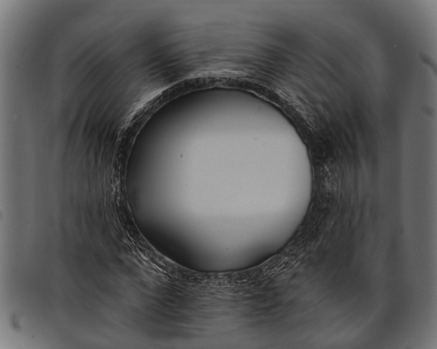 X0000097810872200803281056