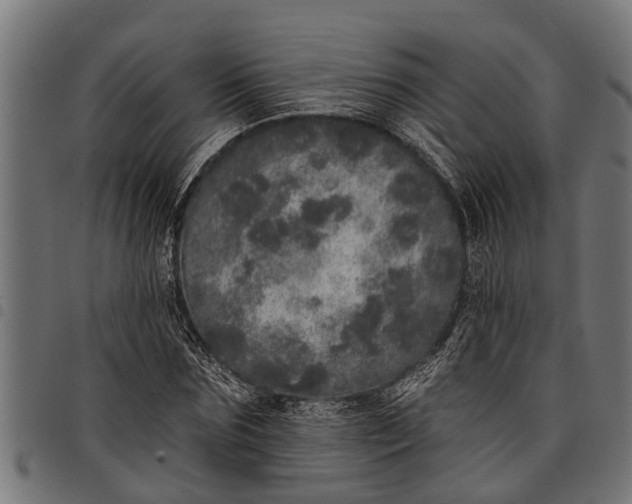 X0000097810875200803281056