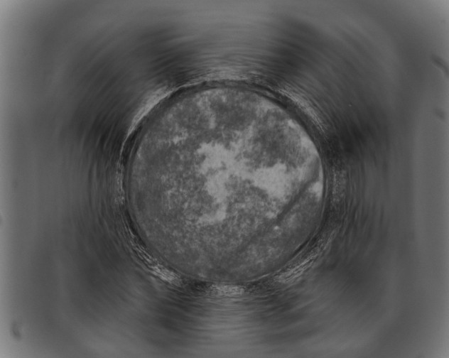 X0000097810878200803281056