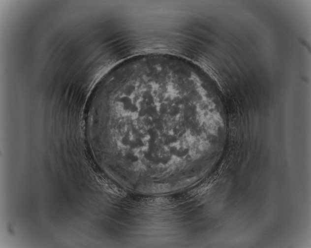 X0000097810879200803281056