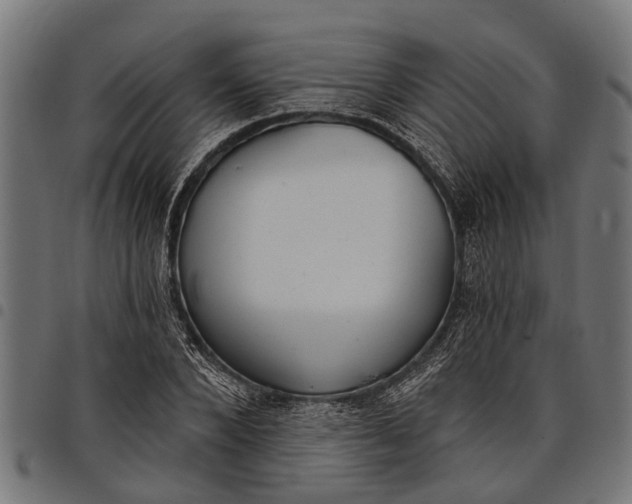 X0000097810880200803281056