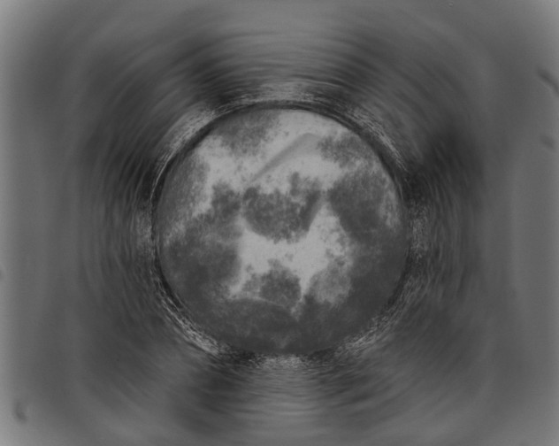 X0000097810882200803281056