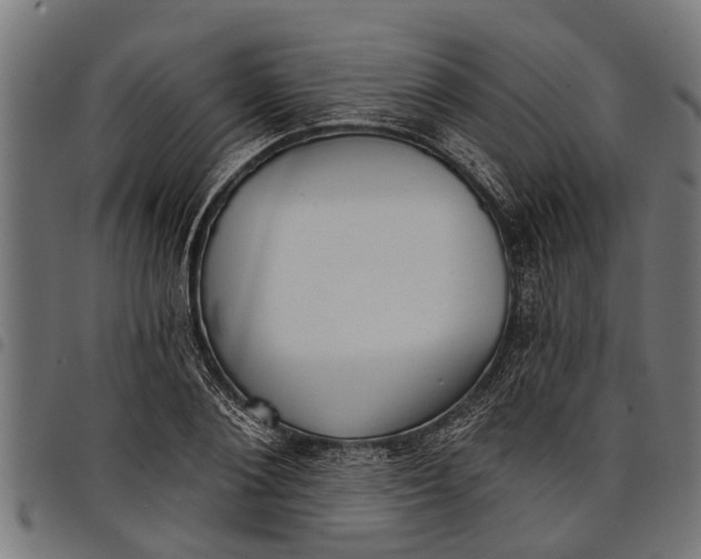 X0000097810884200803281056