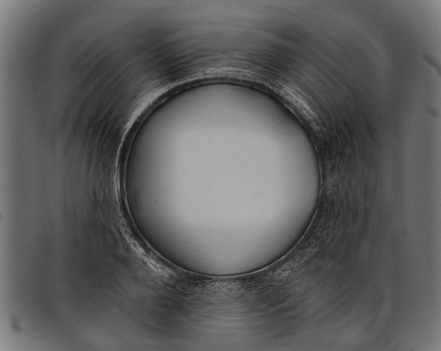 X0000097810888200803281056