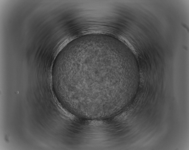 X0000097810890200803281056