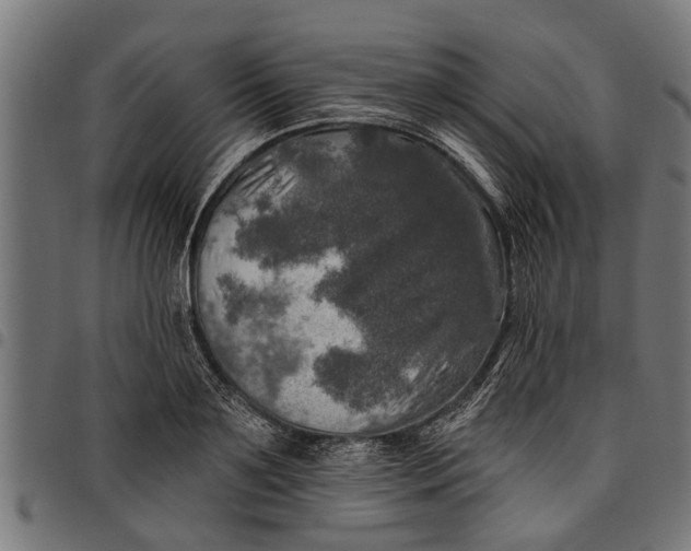 X0000097810891200803281056